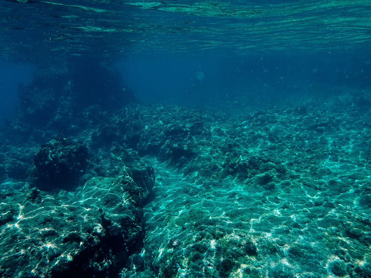 ฟิลิปปินส์, el nido, palawan, เที่ยว, เที่ยวคนเดียว, บล็อกเกอร์ท่องเที่ยว, บล็อกเกอร์สาว, ท่องเที่ยว, ผจญภัย, ลุยเดี่ยว, บล็อกเกอร์สายเที่ยว, เทรคกิ้ง, ปีนเขา, ดำน้ำ, ฟรีไดฟ์, ร้านฟรีไดฟ์, ร้านขายอุปกรณ์ดำน้ำ, กรุงเทพ, ฟินฟรีไดฟ์