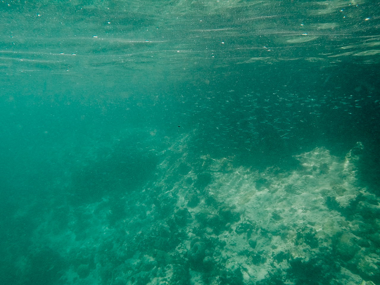 ฟิลิปปินส์, el nido, palawan, เที่ยว, เที่ยวคนเดียว, บล็อกเกอร์ท่องเที่ยว, บล็อกเกอร์สาว, ท่องเที่ยว, ผจญภัย, ลุยเดี่ยว, บล็อกเกอร์สายเที่ยว, เทรคกิ้ง, ปีนเขา, ดำน้ำ, ฟรีไดฟ์, ร้านฟรีไดฟ์, ร้านขายอุปกรณ์ดำน้ำ, กรุงเทพ, ฟินฟรีไดฟ์