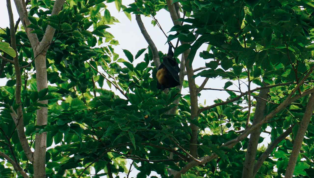 เที่ยวมัลดีฟส์, เที่ยวคนเดียว, บล็อกเกอร์ท่องเที่ยว, บล็อกเกอร์สาว, ท่องเที่ยว, ผจญภัย, ลุยเดี่ยว, บล็อกเกอร์สายเที่ยว, เทรคกิ้ง, ปีนเขา, ดำน้ำ, ฟรีไดฟ์