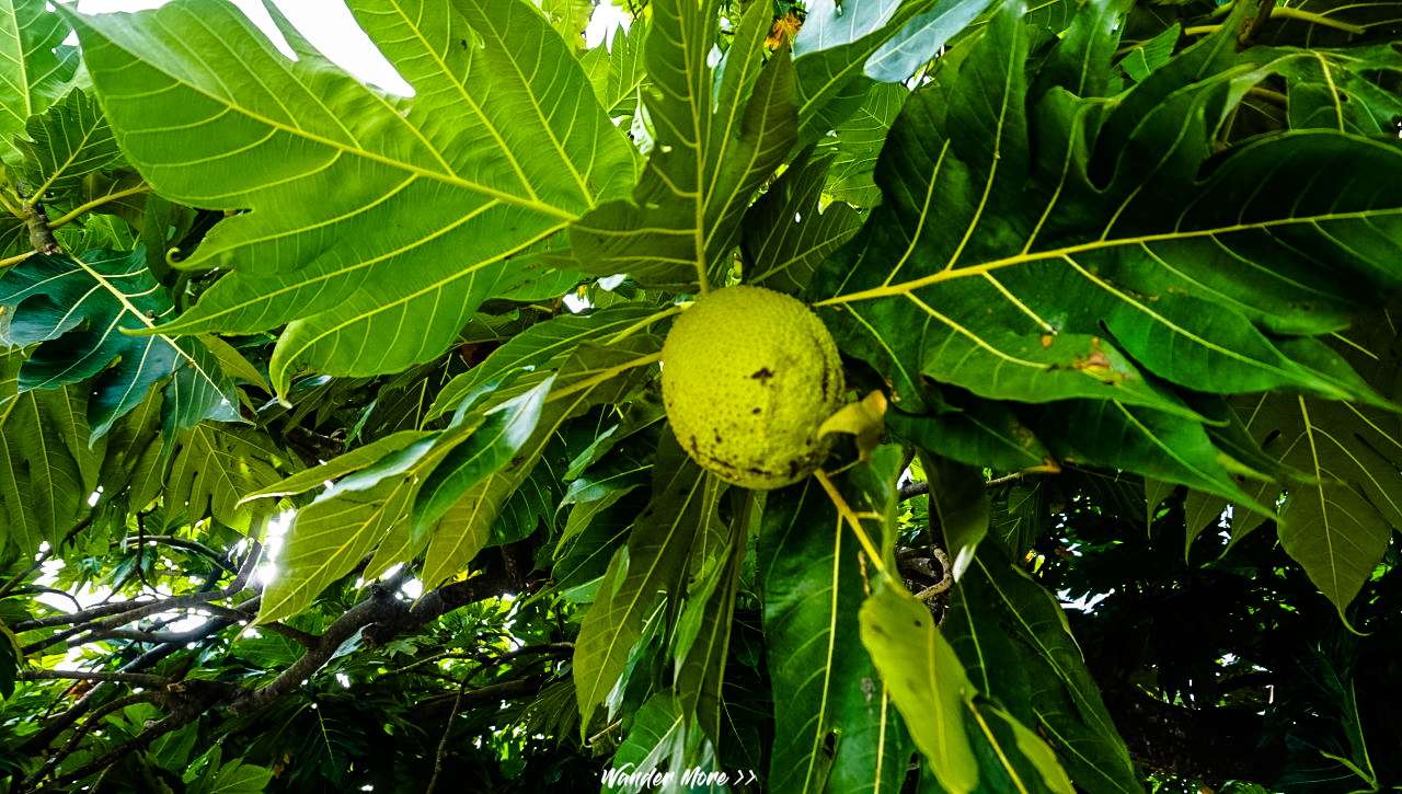 เที่ยวคนเดียว, บล็อกเกอร์ท่องเที่ยว, บล็อกเกอร์สาว, ท่องเที่ยว, ผจญภัย, ลุยเดี่ยว, บล็อกเกอร์สายเที่ยว, เทรคกิ้ง, ปีนเขา, ดำน้ำ, ฟรีไดฟ์