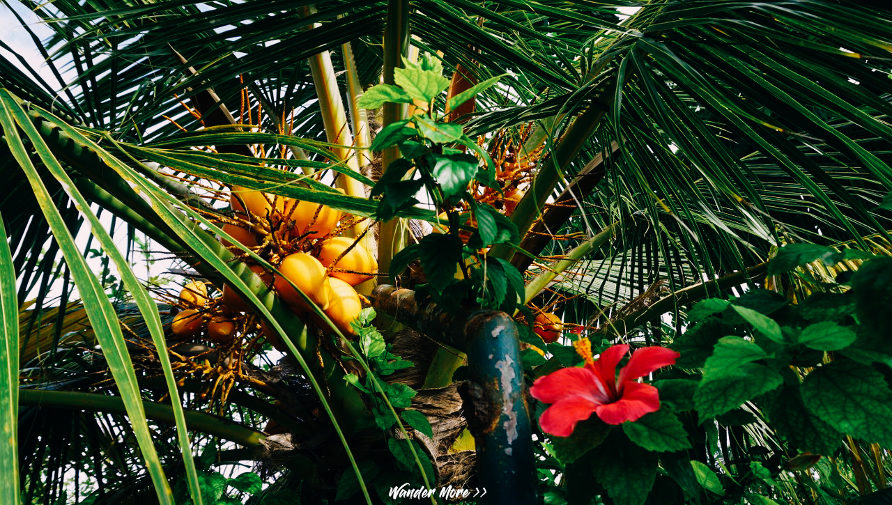 เที่ยวคนเดียว, บล็อกเกอร์ท่องเที่ยว, บล็อกเกอร์สาว, ท่องเที่ยว, ผจญภัย, ลุยเดี่ยว, บล็อกเกอร์สายเที่ยว, เทรคกิ้ง, ปีนเขา, ดำน้ำ, ฟรีไดฟ์