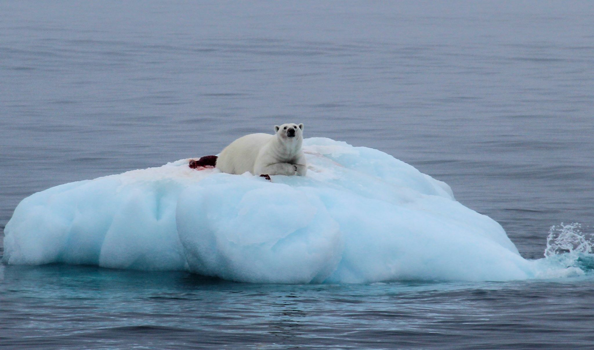 เที่ยวคนเดียว, บล็อกเกอร์ท่องเที่ยว, บล็อกเกอร์สาว, ท่องเที่ยว, ผจญภัย, ลุยเดี่ยว, บล็อกเกอร์สายเที่ยว,pacific crest trail, adventure, ผจญภัย, นักสำรวจ, เดินป่า, ผจญภัย, สำรวจ, เทรล, เทรคกิ้ง, ปั่นจักรยาน, ดำน้ำ, expedition, แคมป์, กางเต็นท์, ท่องเที่ยว, นักผจญภัย, ขั้วโลก, พิชิตขั้วโลก, annapurna circuit, lagunas route