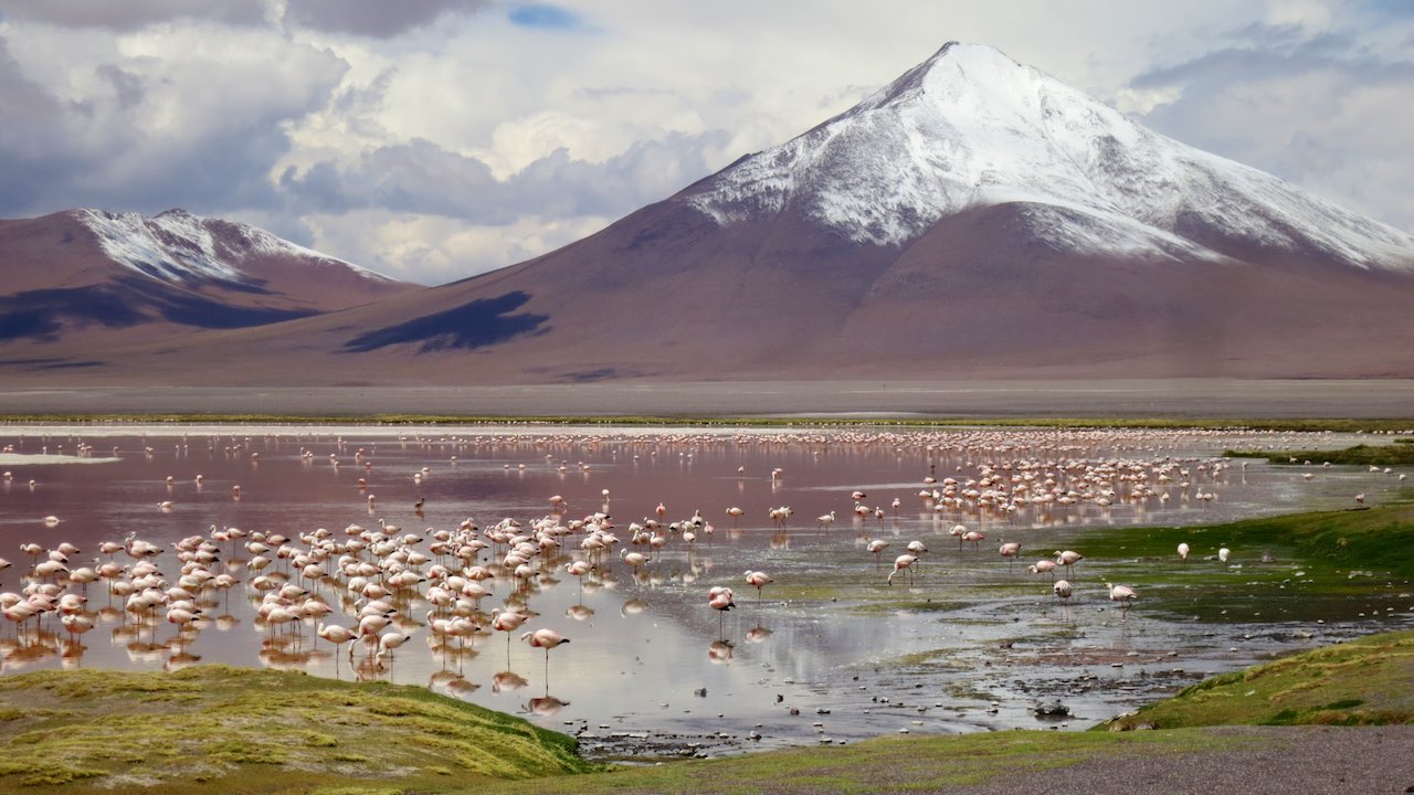 เที่ยวคนเดียว, บล็อกเกอร์ท่องเที่ยว, บล็อกเกอร์สาว, ท่องเที่ยว, ผจญภัย, ลุยเดี่ยว, บล็อกเกอร์สายเที่ยว,pacific crest trail, adventure, ผจญภัย, นักสำรวจ, เดินป่า, ผจญภัย, สำรวจ, เทรล, เทรคกิ้ง, ปั่นจักรยาน, ดำน้ำ, expedition, แคมป์, กางเต็นท์, ท่องเที่ยว, นักผจญภัย, ขั้วโลก, พิชิตขั้วโลก, annapurna circuit, lagunas route