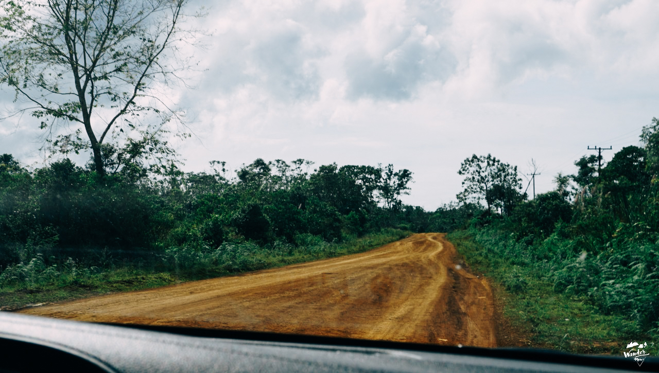 ลาวใต้, ที่ราบสูงโบโลเวน, เที่ยวคนเดียว, ไปเอง, เดินป่า, เที่ยวคนเดียว, บล็อกเกอร์ท่องเที่ยว, บล็อกเกอร์สาว, ท่องเที่ยว, ผจญภัย, ลุยเดี่ยว, บล็อกเกอร์สายเที่ยว