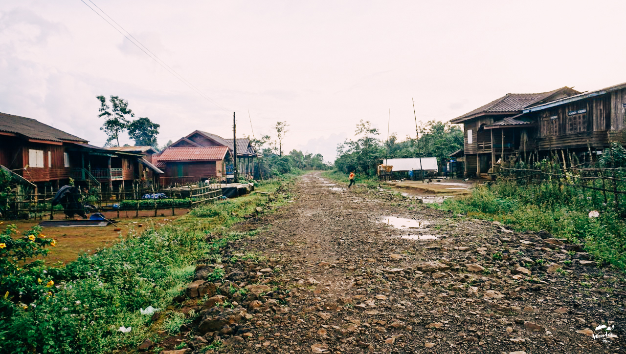 ลาวใต้, ที่ราบสูงโบโลเวน, เที่ยวคนเดียว, ไปเอง, เดินป่า
