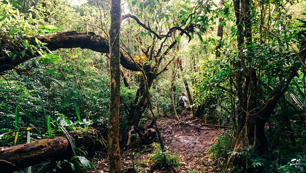 ลาวใต้, เที่ยวคนเดียว, บล็อกเกอร์ท่องเที่ยว, บล็อกเกอร์สาว, ท่องเที่ยว, ผจญภัย, ลุยเดี่ยว, บล็อกเกอร์สายเที่ยว