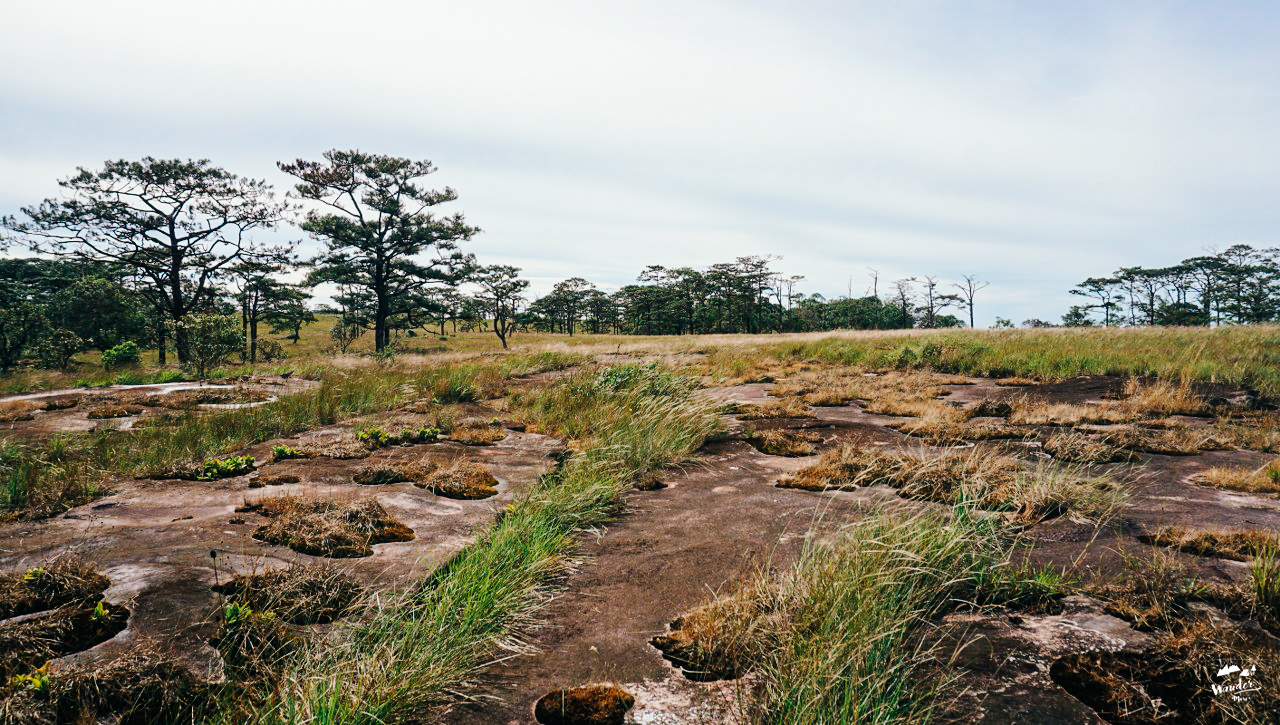 ลาวใต้, ที่ราบสูงโบโลเวน, เที่ยวคนเดียว, ไปเอง, เดินป่า, เที่ยวคนเดียว, บล็อกเกอร์ท่องเที่ยว, บล็อกเกอร์สาว, ท่องเที่ยว, ผจญภัย, ลุยเดี่ยว, บล็อกเกอร์สายเที่ยว