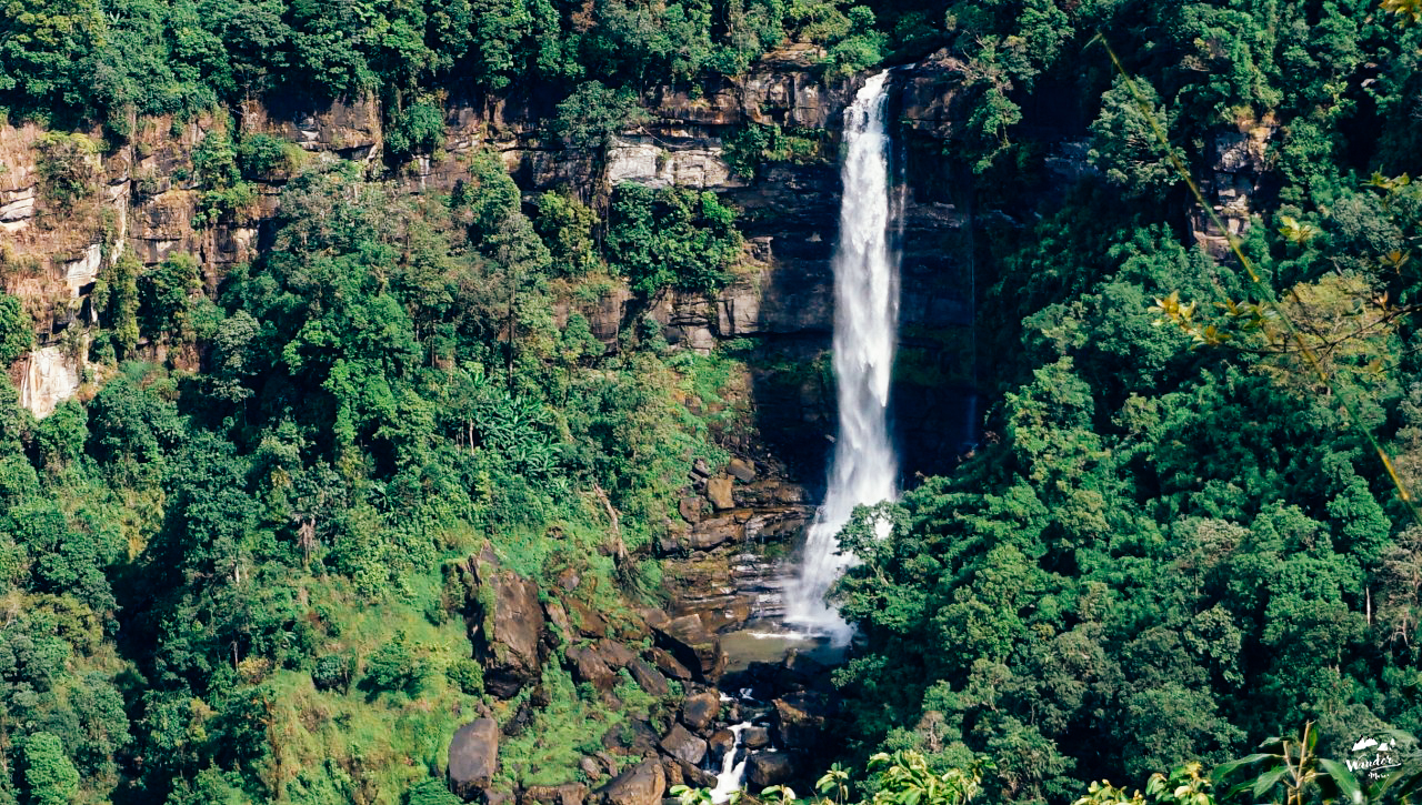 ลาวใต้, ที่ราบสูงโบโลเวน, เที่ยวคนเดียว, ไปเอง, เดินป่า, เที่ยวคนเดียว, บล็อกเกอร์ท่องเที่ยว, บล็อกเกอร์สาว, ท่องเที่ยว, ผจญภัย, ลุยเดี่ยว, บล็อกเกอร์สายเที่ยว