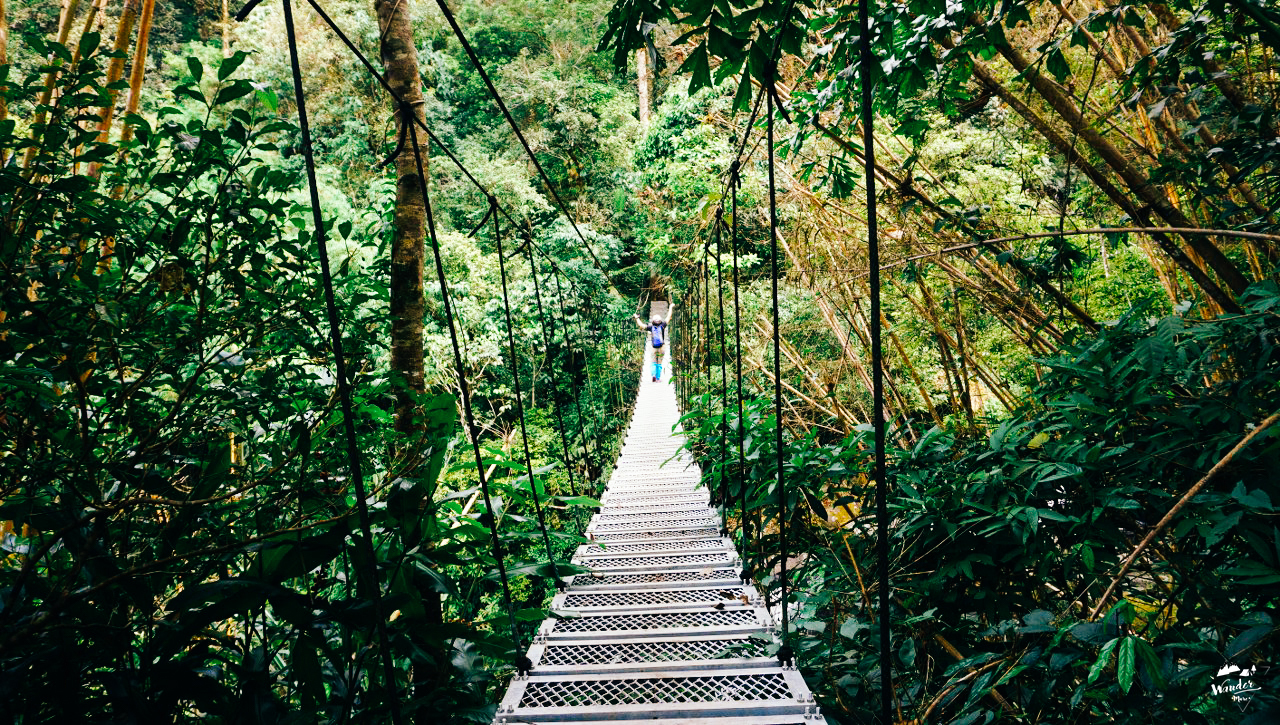 ลาวใต้, ที่ราบสูงโบโลเวน, เที่ยวคนเดียว, ไปเอง, เดินป่า, เที่ยวคนเดียว, บล็อกเกอร์ท่องเที่ยว, บล็อกเกอร์สาว, ท่องเที่ยว, ผจญภัย, ลุยเดี่ยว, บล็อกเกอร์สายเที่ยว