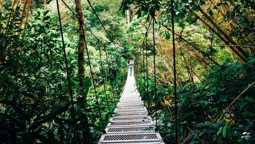 เดินป่าฝ่าดงทาก ที่ราบสูงโบโลเวน ลาวใต้&nbsp;ฉบับไปเอง