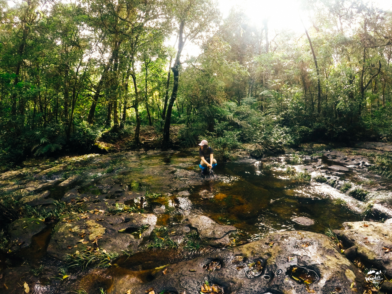 ลาวใต้, ที่ราบสูงโบโลเวน, เที่ยวคนเดียว, ไปเอง, เดินป่า, เที่ยวคนเดียว, บล็อกเกอร์ท่องเที่ยว, บล็อกเกอร์สาว, ท่องเที่ยว, ผจญภัย, ลุยเดี่ยว, บล็อกเกอร์สายเที่ยว