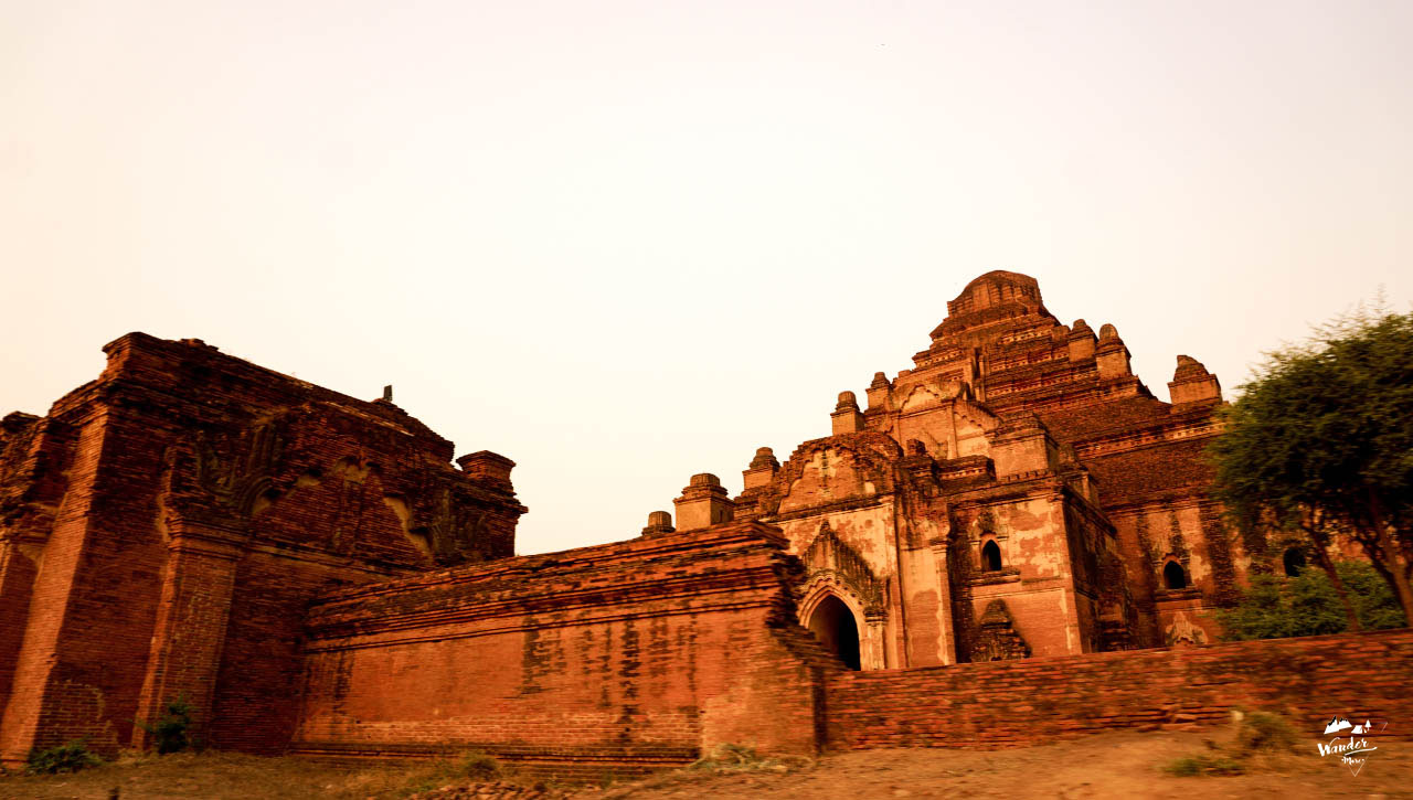 DSC08856_1280x725