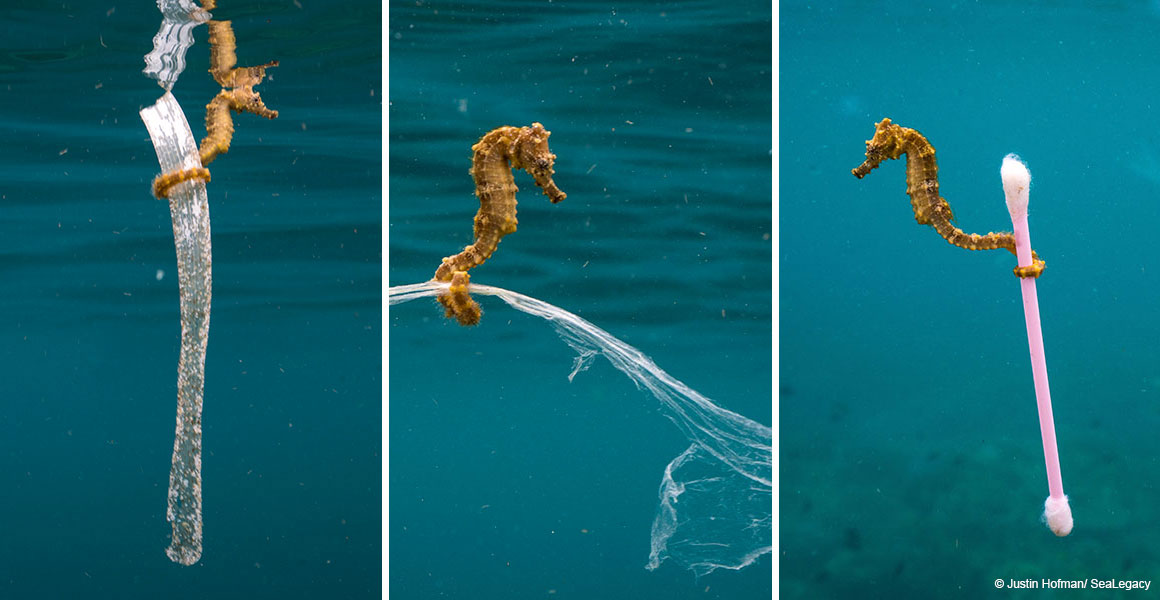 zero waste, ลดขยะ, รักษ์โลก, ลดพลาสติก