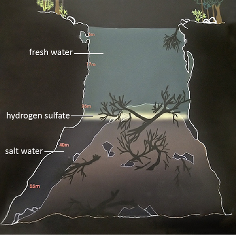 alfonso-exposito_labels-2