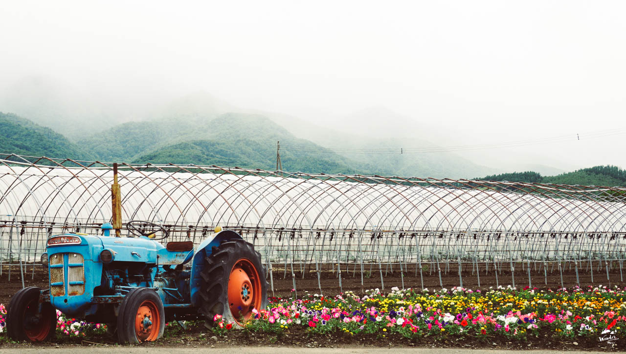 hokkaido, tmb, TMB, TMB All free, debit card, japan, เที่ยวญี่ปุ่น, เรทถูก, อัตราแลกเปลี่ยนถูก, ค่าเงิน, เงินเยน, แลกเงินเยน, ไปญี่ปุ่น, เที่ยวต่างประเทศ, เที่ยวคนเดียว, roadtrip, sapporo, susukino, nijo market, fishmarket, ตลาดปลา, LeTao, Otaru, โอตารุ, ดองกี้, ห้างดองกี้, ห้างดองกี้ญี่ปุ่น, ซัปโปโร, ฮอกไกโด, omagaze, โอมากาเสะ, ช้อปปิ้งญี่ปุ่น, yoshida farm, melon hokkaido