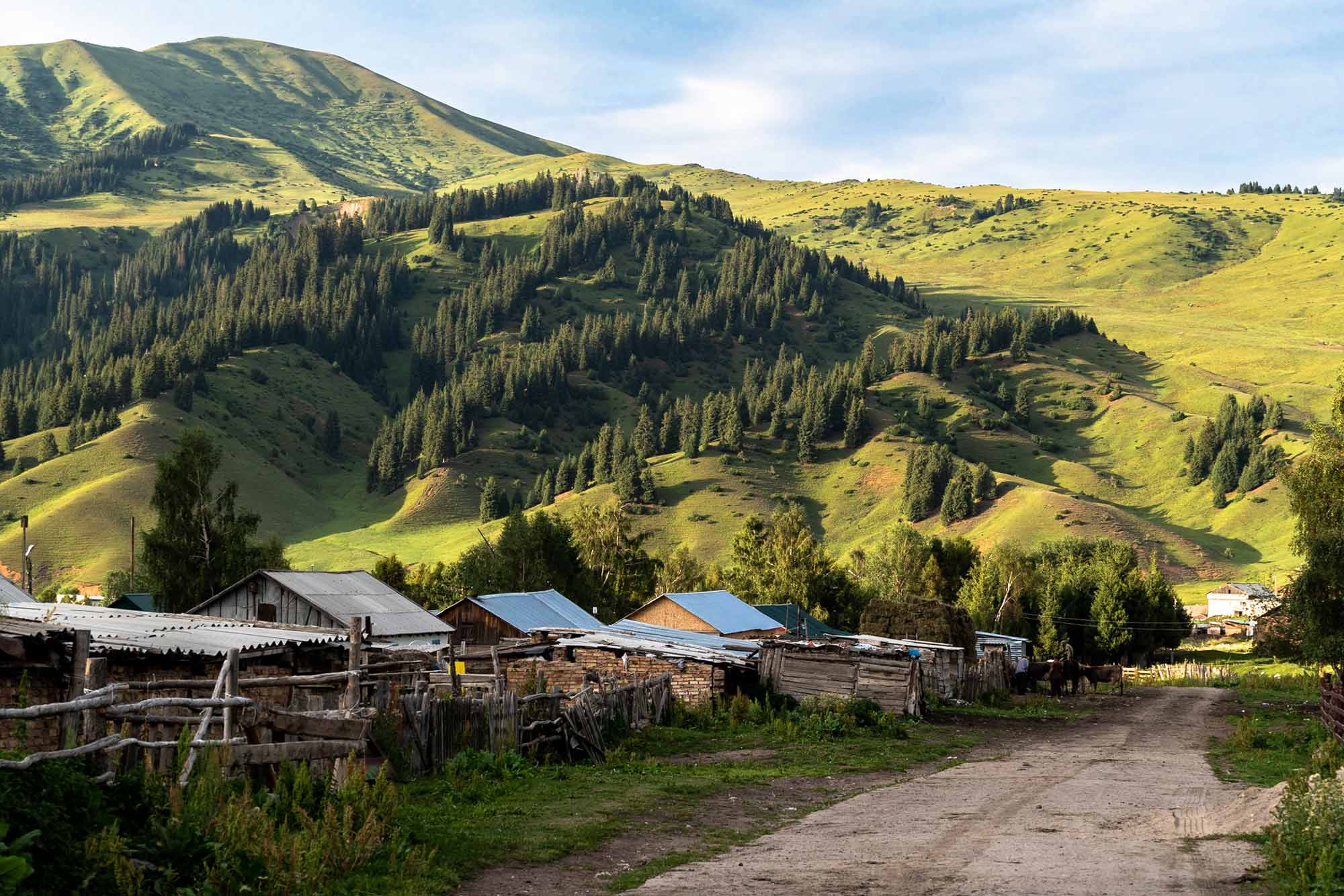 Jyrgalan-Kyrgyzstan_NOMADasaurus