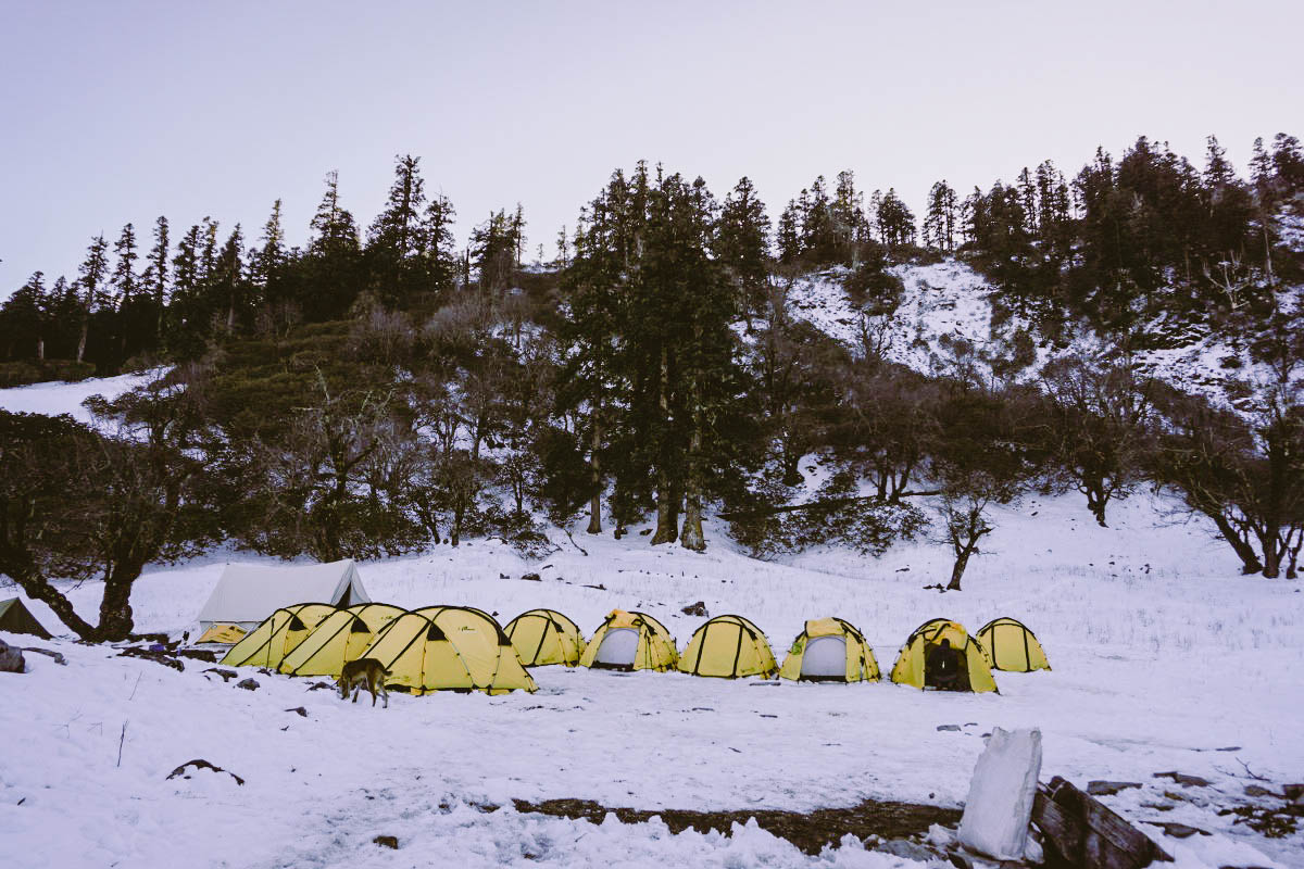 เทรคกิ้ง เต้นท์