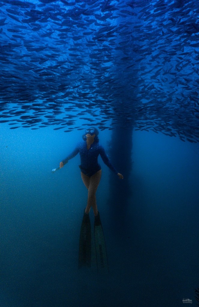 ดำน้ำฟรีไดฟ์ สะพานนาใต้ พังงา