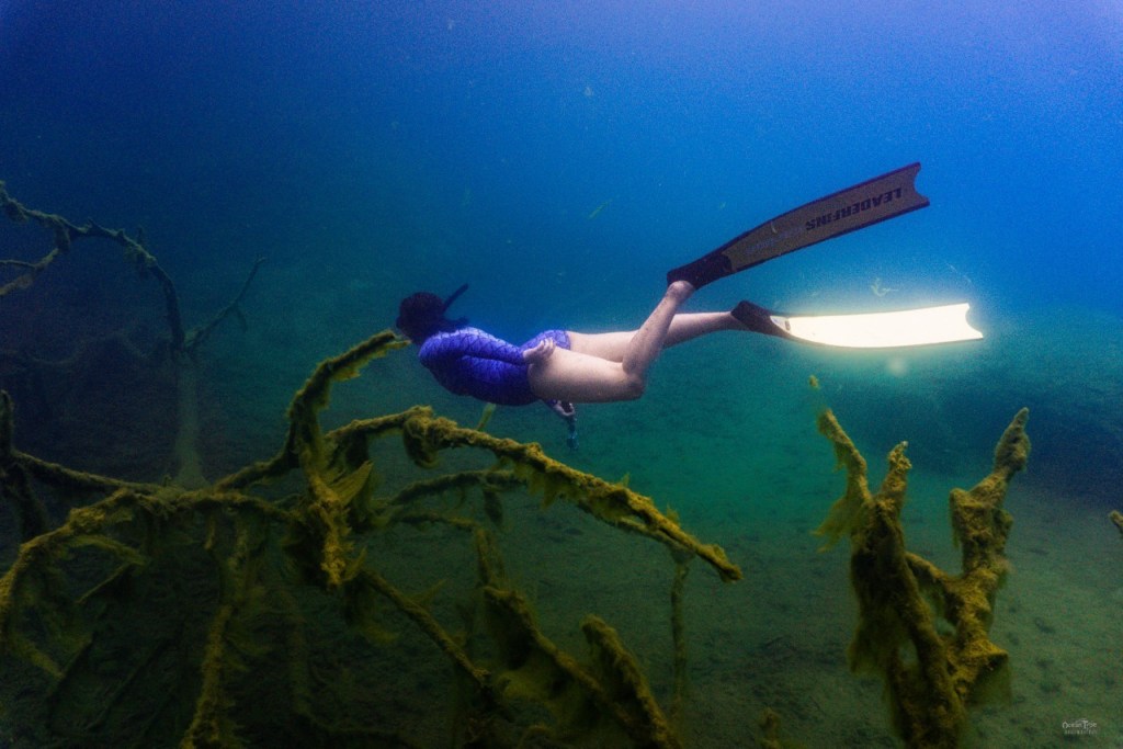 ดำน้ำ ขุมน้ำท่าแตง พังงา