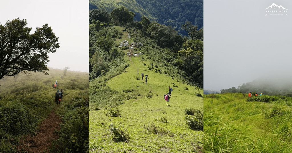 ‘ดอยห้วยทู่’ เดินป่าหน้าฝน ฉบับคนไม่ลางาน