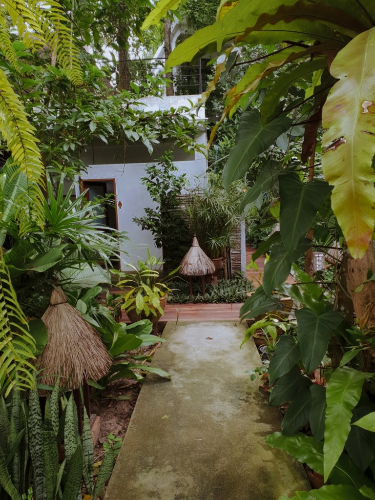 ที่พักเกาะเต่า ของโรงแรมเกาะเต่า big tree ทัวร์ดำน้ำ