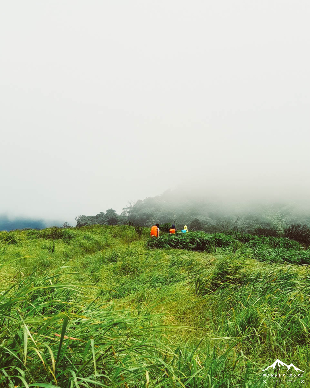 เดินป่าดอยห้วยทู่-ทุ่งหญ้า