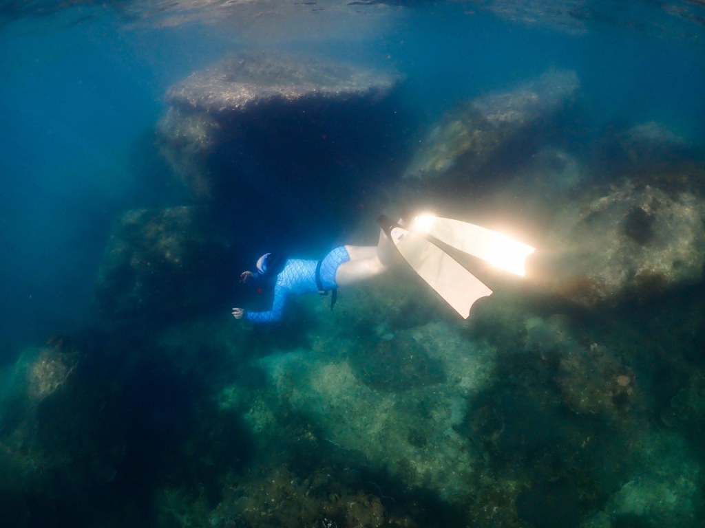 ทำไมการดำน้ำตัวเปล่า (ฟรีไดฟ์) ทำให้ฉันมีช่วงเวลาที่อิสระที่สุดในชีวิต