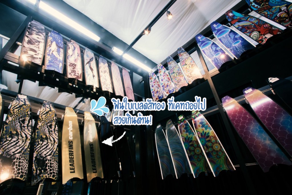 ฟินฟรีไดฟ์