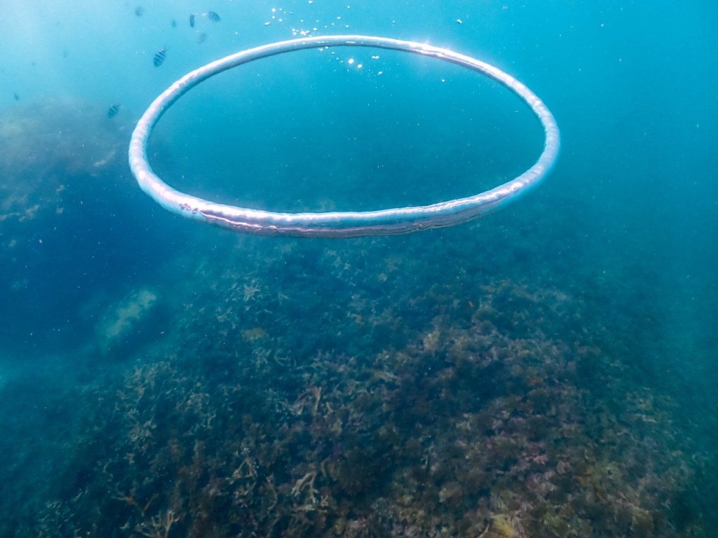 วิธีเลือกหน้ากากดำน้ำ ฟรีไดฟ์