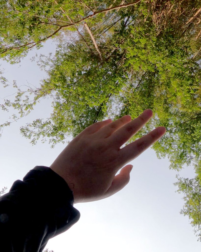 ตั้งแคมป์นอนกลางป่า