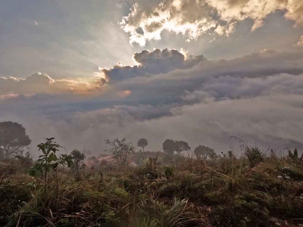 ดอยหลวง ดอยหนอก พะเยา ทะเลหมอก
