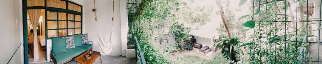 big tree เกาะเต่า