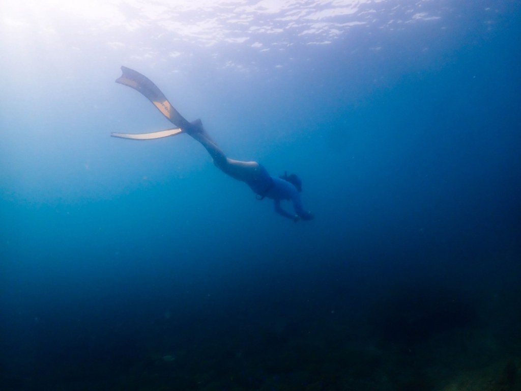 ทะเลเกาะเต่า ฟรีไดฟ์ ดำน้ำ ร้านขายอุปกรณ์ฟรีไดฟ์ ฟินฟรีไดฟ์ สีทอง