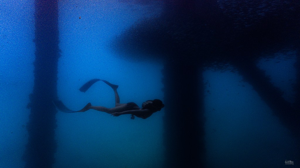 ดำน้ำฟรีไดฟ์ สะพานนาใต้ พังงา