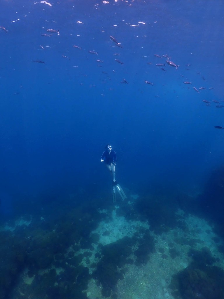 ฟรีไดฟ์ ดำน้ำตัวเปล่า