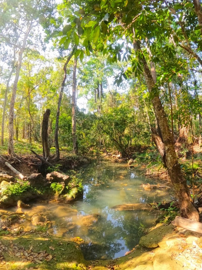 เดินป่า อุ้มผาง จ.ตาก