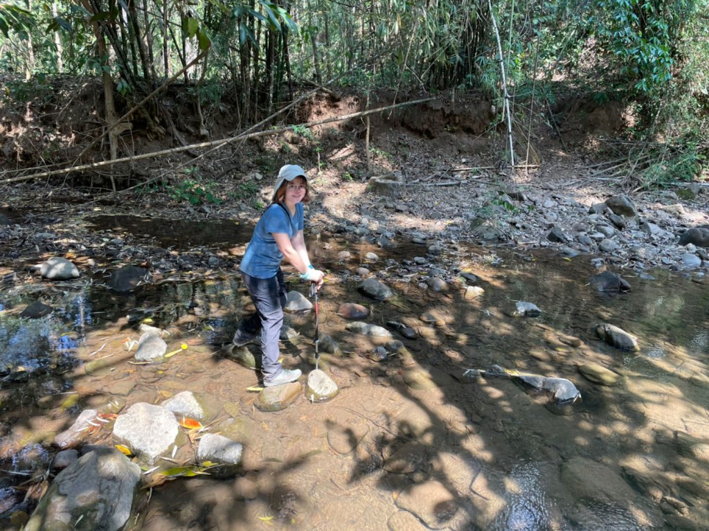 เดินป่า น้ำตกทีลอเล