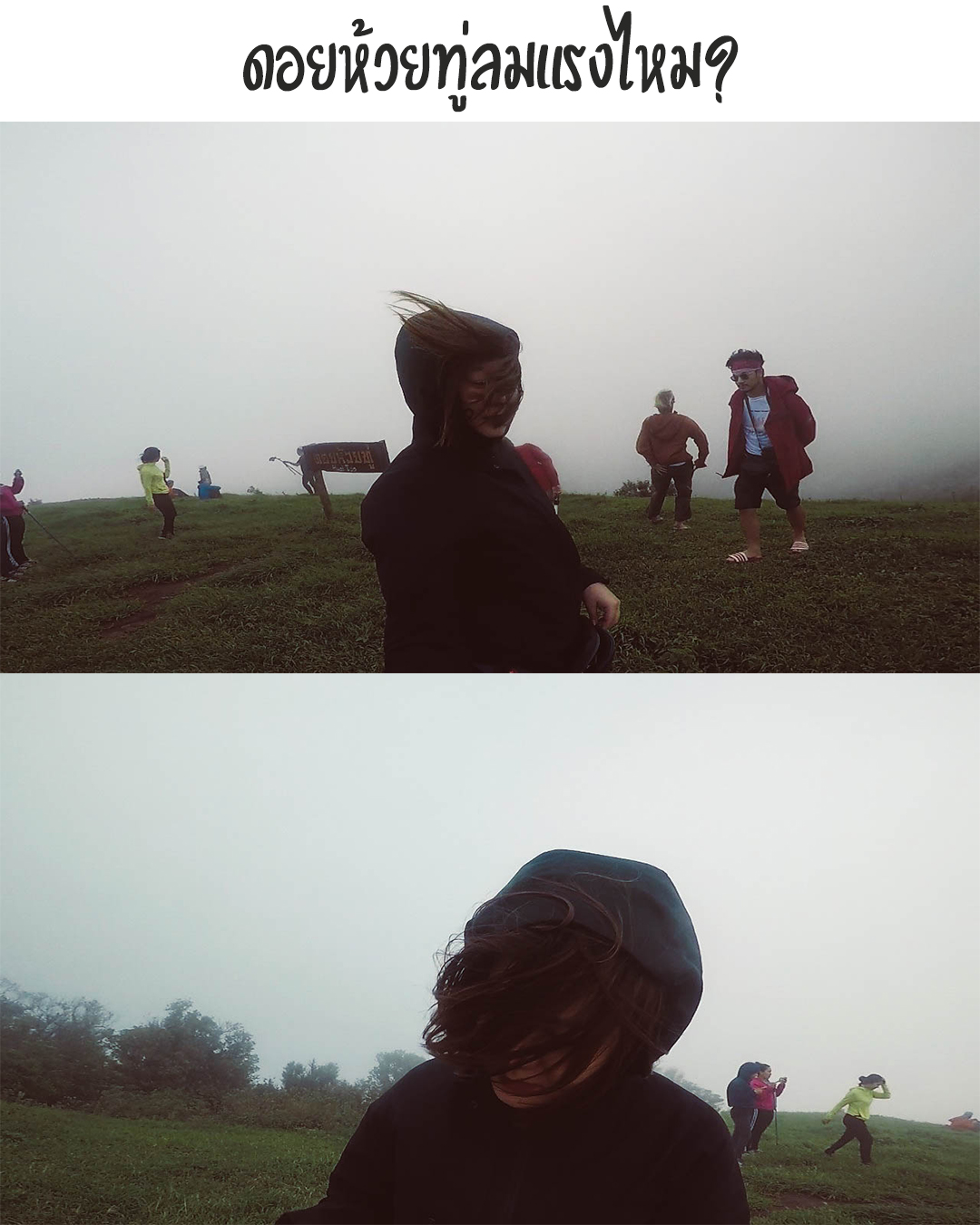 ดอยห้วยทู่ ลมแรง หมอกจัด