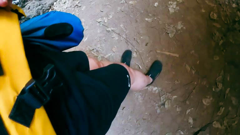 ผึ้งตอม ลำคลองงู