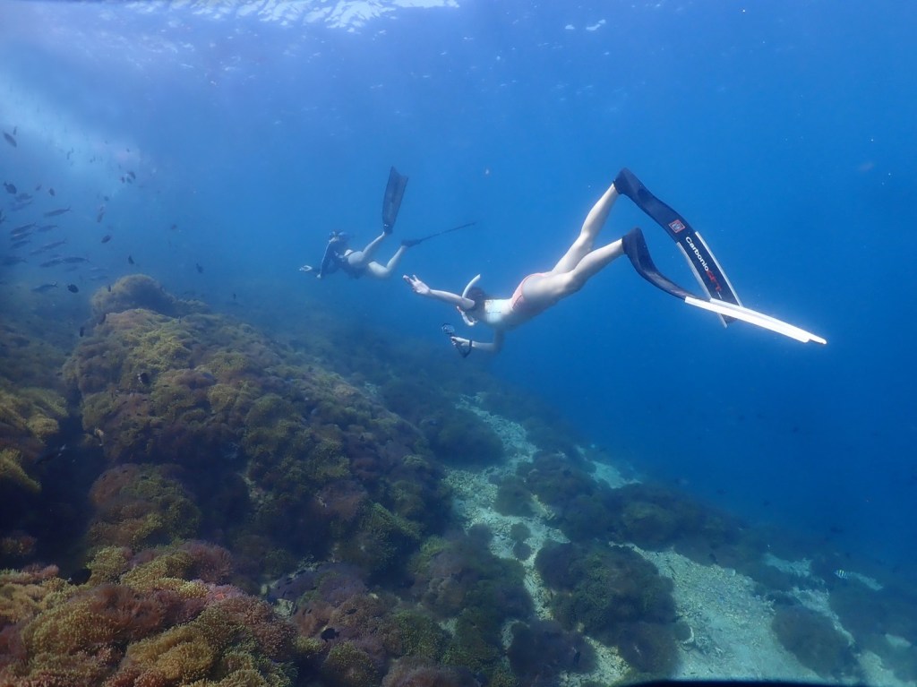 ดำน้ำฟรีไดฟ์ เกาะร้านเป็ดร้านไก่ ชุมพร 