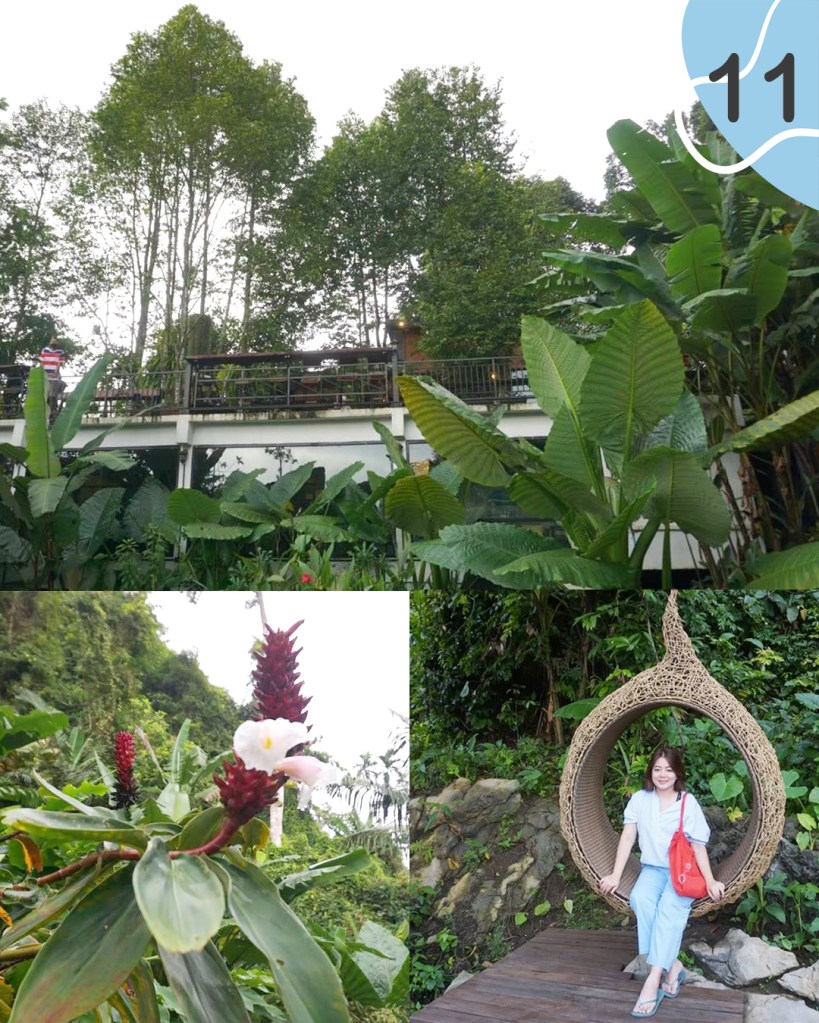 Jaes Café Tree mountain สิชล ขนอม