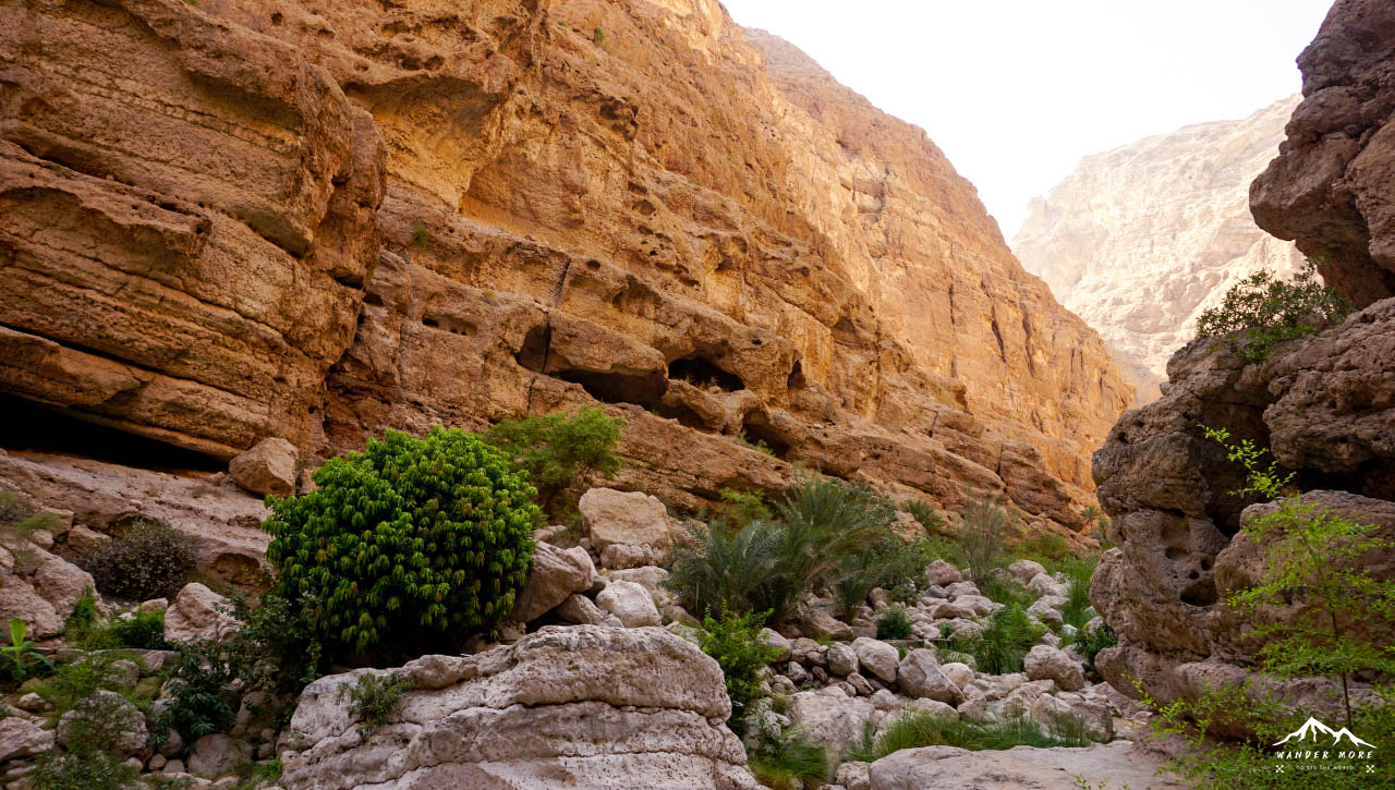 wadi shab