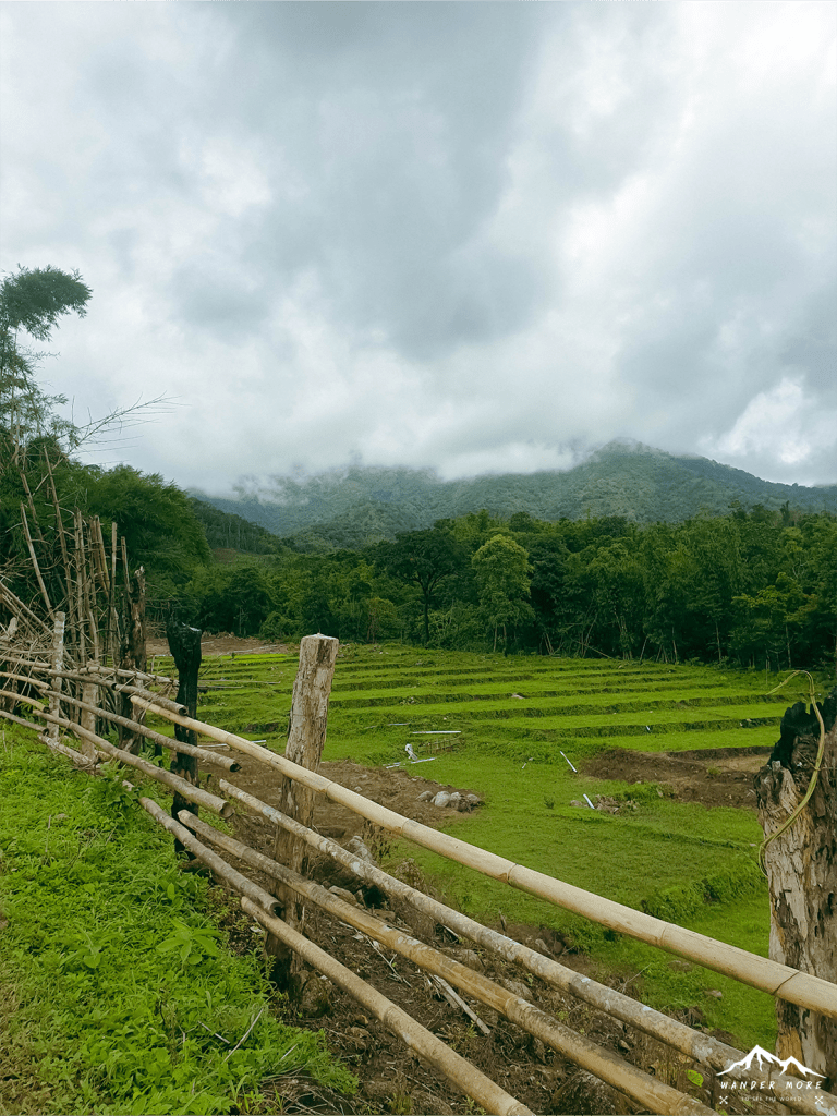 วิวทางไปจุดตั้งแคมป์