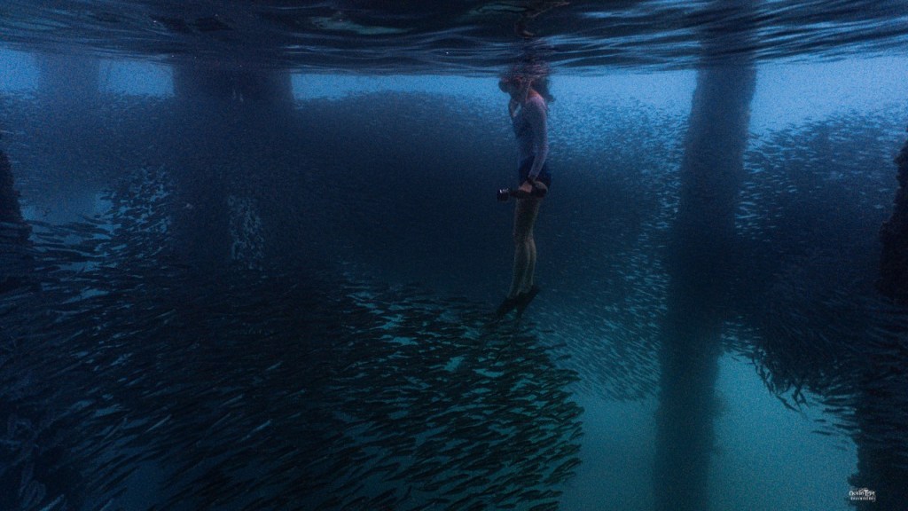 โฟสท่าถ่ายภาพใต้น้ำ สะพานนาใต้ พังงา