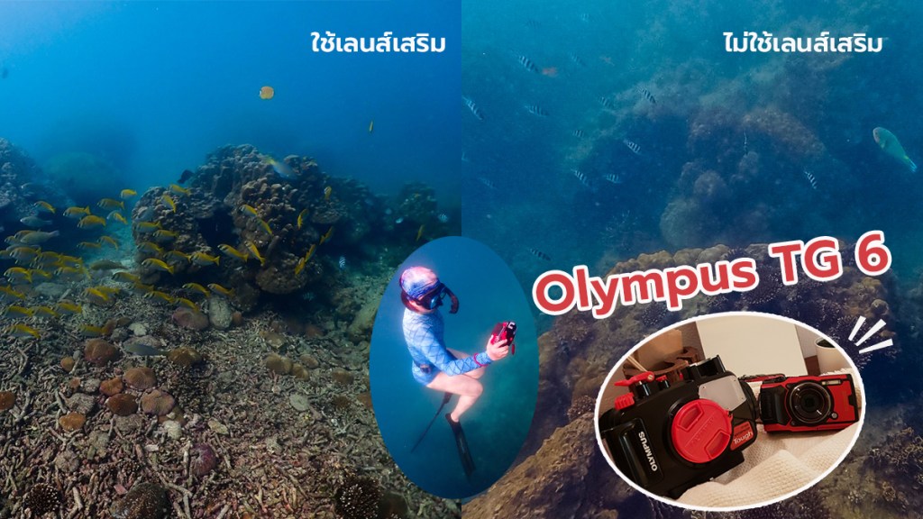 รีวิวกล้องกันน้ำ Olympus TG6 ดำน้ำ เทียบชัดๆ ใส่เลนส์เสริม VS&nbsp;ไม่ใส่เลนส์
