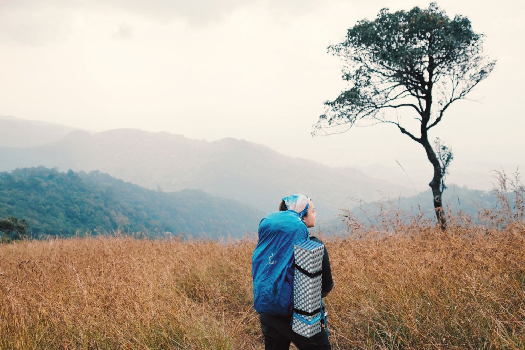 เดินป่าหน้าหนาว เคท wander more