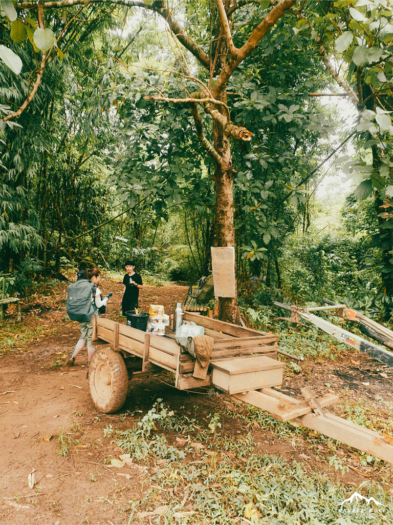 เซเว่นดอย