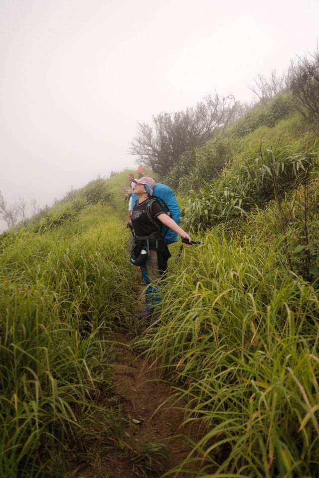 ทุ่งหญ้า ระหว่างทาง ดอยห้วยทู่