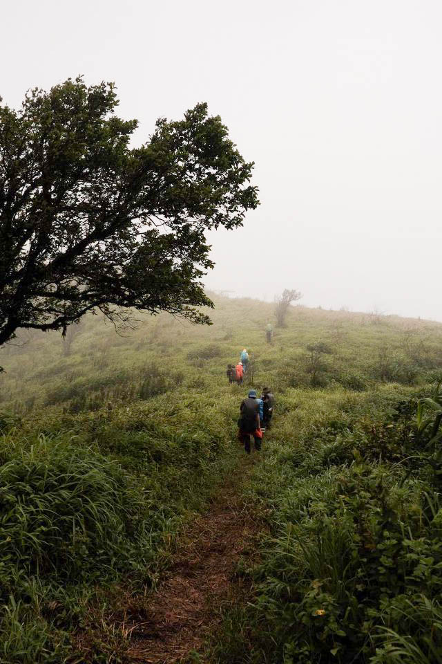 วิว เดินป่าดอยห้วยทู่ 2