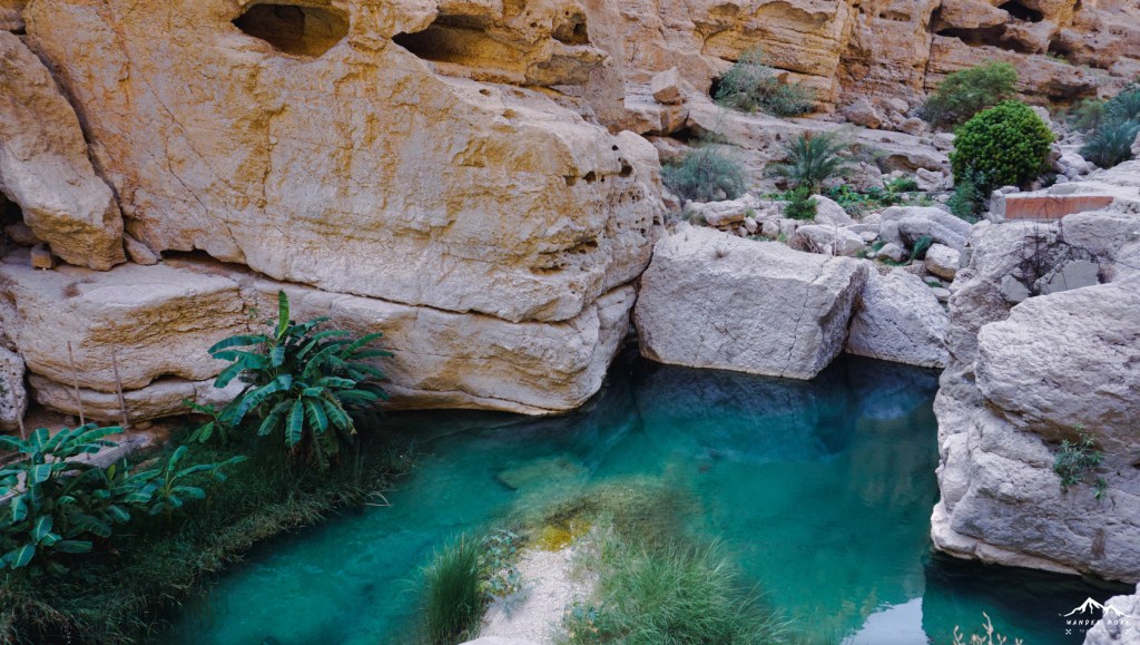 ลงว่ายน้ำใน Wadi Shab โอมาน